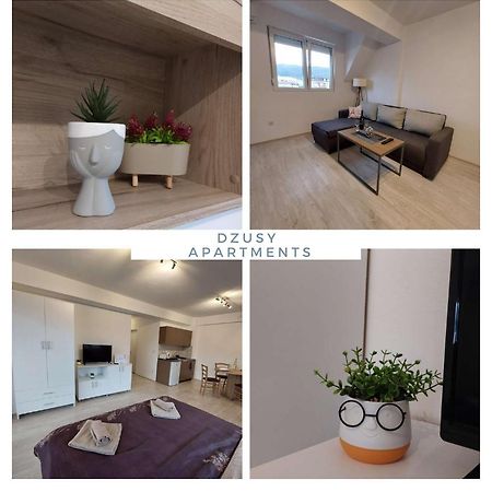 Dzusy Apartments 오흐리드 외부 사진