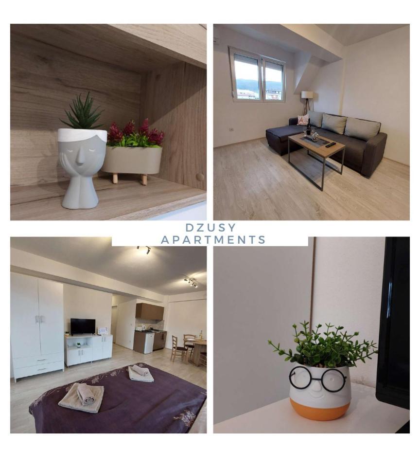 Dzusy Apartments 오흐리드 외부 사진